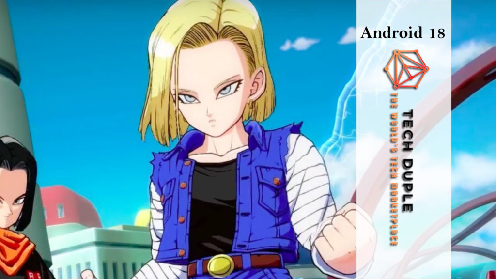 Android 18 Had A Super Structure Like 17?